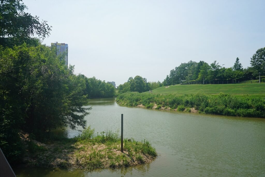 Walking path and grassy bank along Buffalo Bayou in Houston
