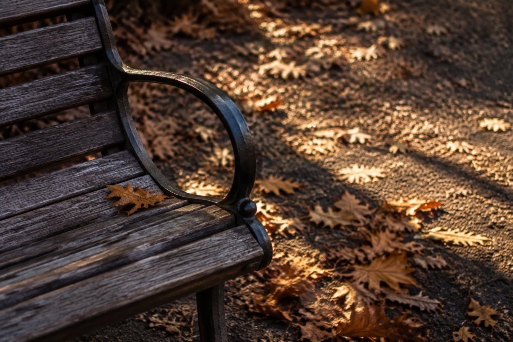Wooden park bench armrest beside fallen leaves — conceptual image