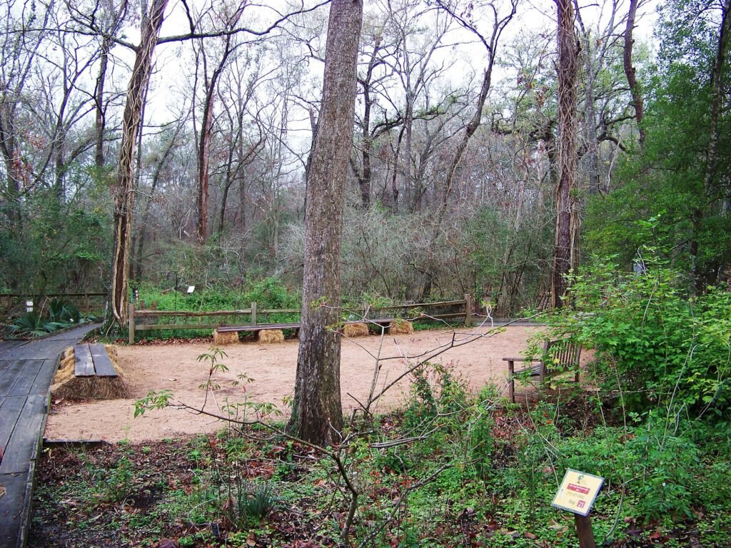 Boardwalk, benches and wooded habitat at the Houston Arboretum