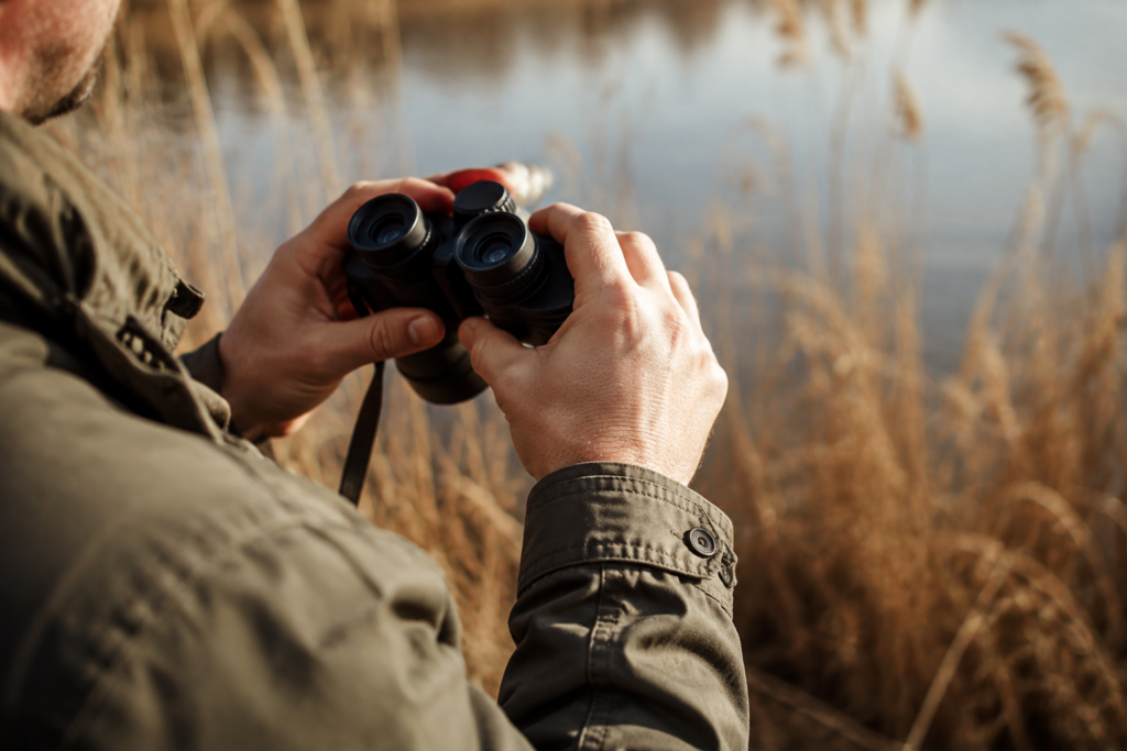 Hands holding binoculars beside reeds — conceptual image