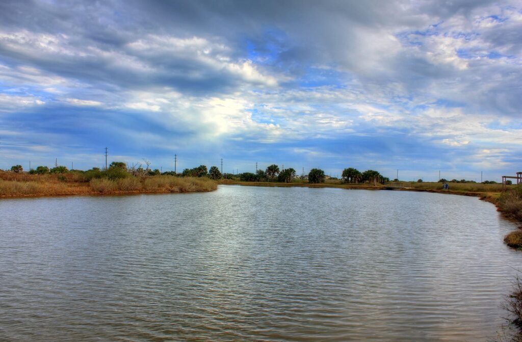Brackish pond and surrounding grassland at Galveston Island State Park
