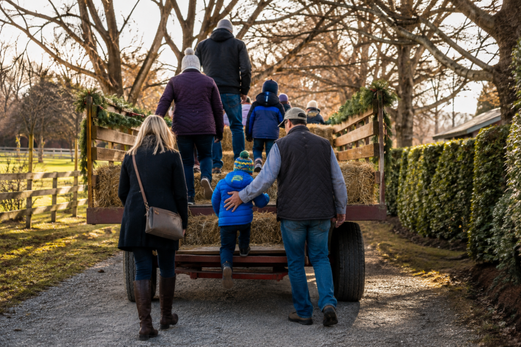 Festive hay wagon with tidy straw bales and simple evergreen trim on a country lane